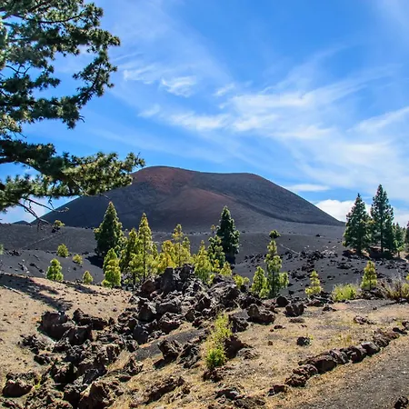 Views House Апартаменты *